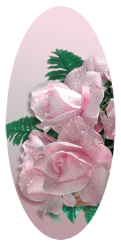 Bouquet Of Roses Orchid